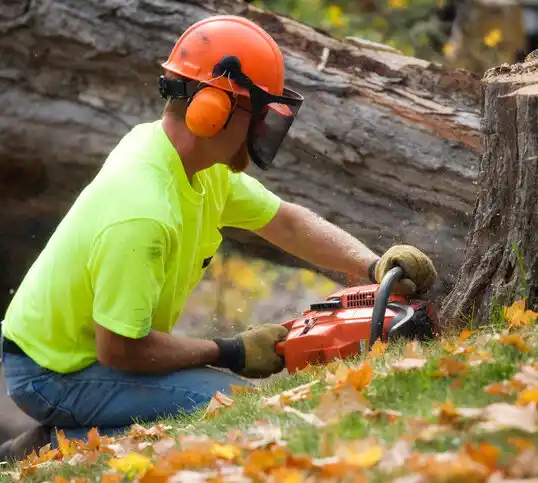 tree services Fruitport